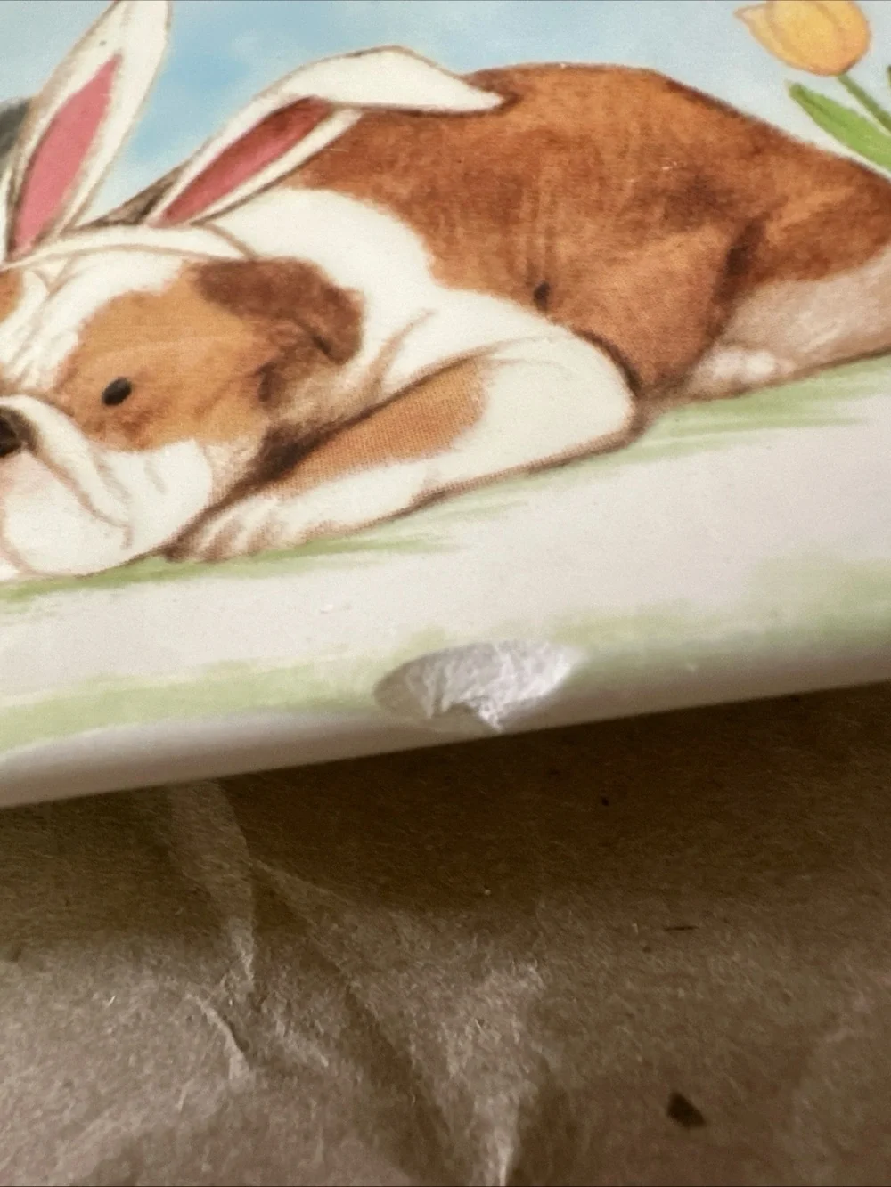 Pier 1 White Ceramic Pet Tray with Easter Puppy Illustration